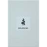 Блокнот MOLESKINE LIMITED EDITION YEAR OF THЕ SNAKE LECNYSNKVEGMBOX линейка мятный