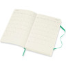Ежедневник MOLESKINE CLASSIC SOFT LARGE (мятный) DSK4612DC3
